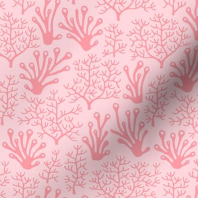 Coral reef soft pink