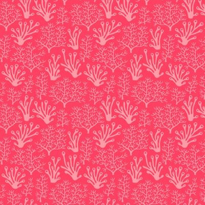 Coral reef hot pink (small)