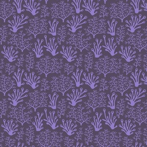 Coral reef purple (small)