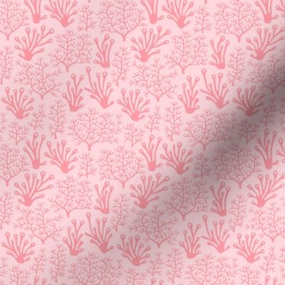 Coral reef soft pink (small)