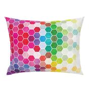 Watercolor Rainbow Hexagons