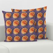 Apricot Roses on Lavender Swirls