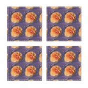 Apricot Roses on Lavender Swirls