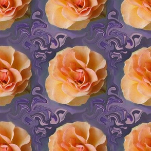 Apricot Roses on Lavender Swirls