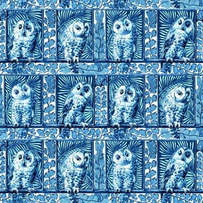 boxed owls blue