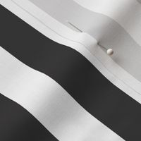 Black and White Stripes