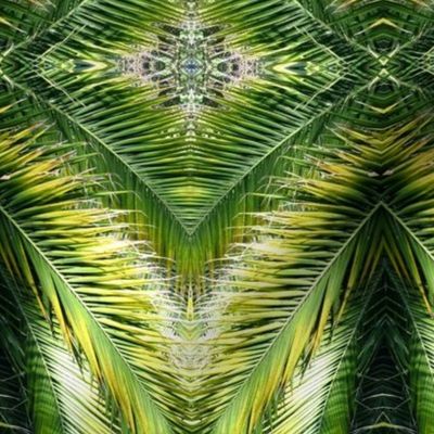 Palm frond mirror image