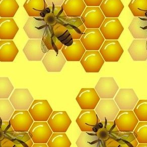 Bee and honeycombs