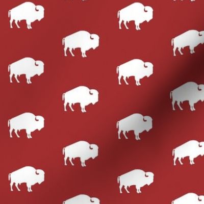 white buffalo on red