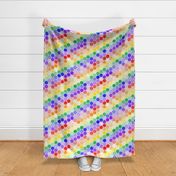 Rainbow Diagonal Hexagon Modern Cheater Quilt