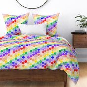 Rainbow Diagonal Hexagon Modern Cheater Quilt