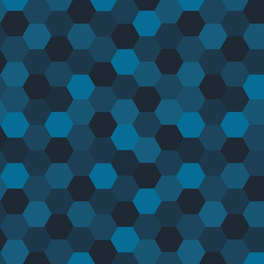 Indigo Hexagon Cheater Quilt