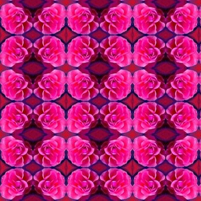 Pink Roses  Clusters Circling Magenta  Diamonds