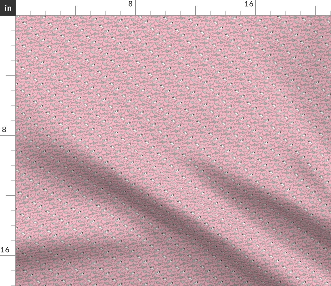 Sharks Shark Grey on Pink Tiny Small