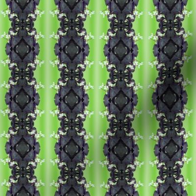 Oxalis  Lace Stripes - Russian Violet on Gradient Lime - 2  inch repeat