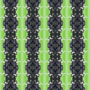 Oxalis  Lace Stripes - Russian Violet on Gradient Lime - 2  inch repeat