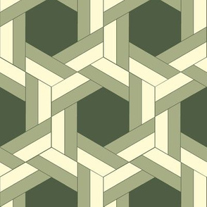 Green Bayeux Braided Hexagons