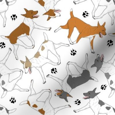 Trotting Rat terriers and paw prints - white