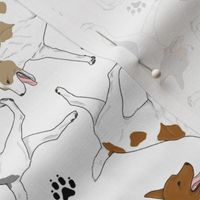 Trotting Rat terriers and paw prints - white