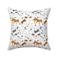 Trotting Rat terriers and paw prints - white