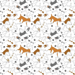 Trotting Rat terriers and paw prints - white