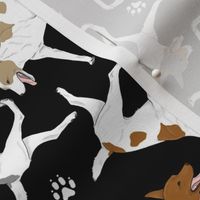 Trotting Rat terriers and paw prints - black