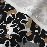 Tiny Trotting Rat terriers and paw prints B - black