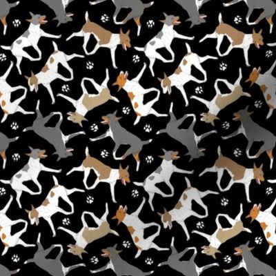 Tiny Trotting Rat terriers and paw prints B - black