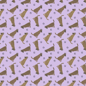 Tiny Dutch Shepherds - purple