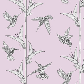 Pink Hummingbirds and Flowers
