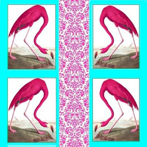 Flamingos_Pink