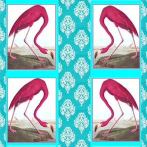 Flamingos_Turquoise