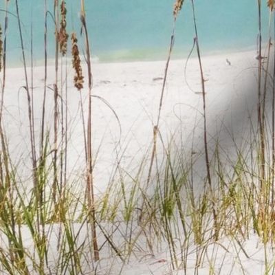 Treasure Island Sea Oats