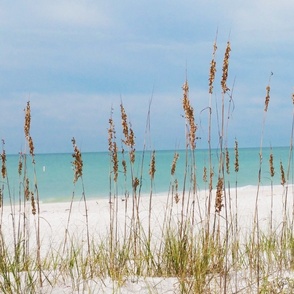 Treasure Island Sea Oats