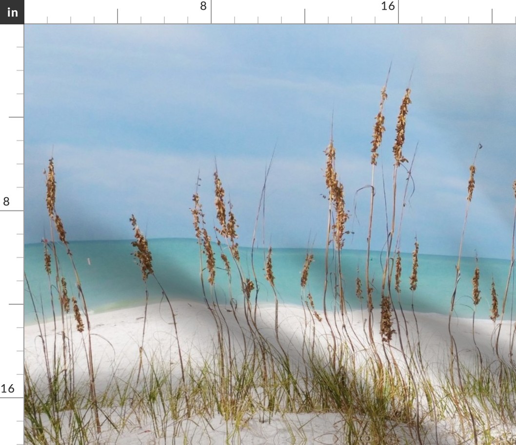 Treasure Island Sea Oats