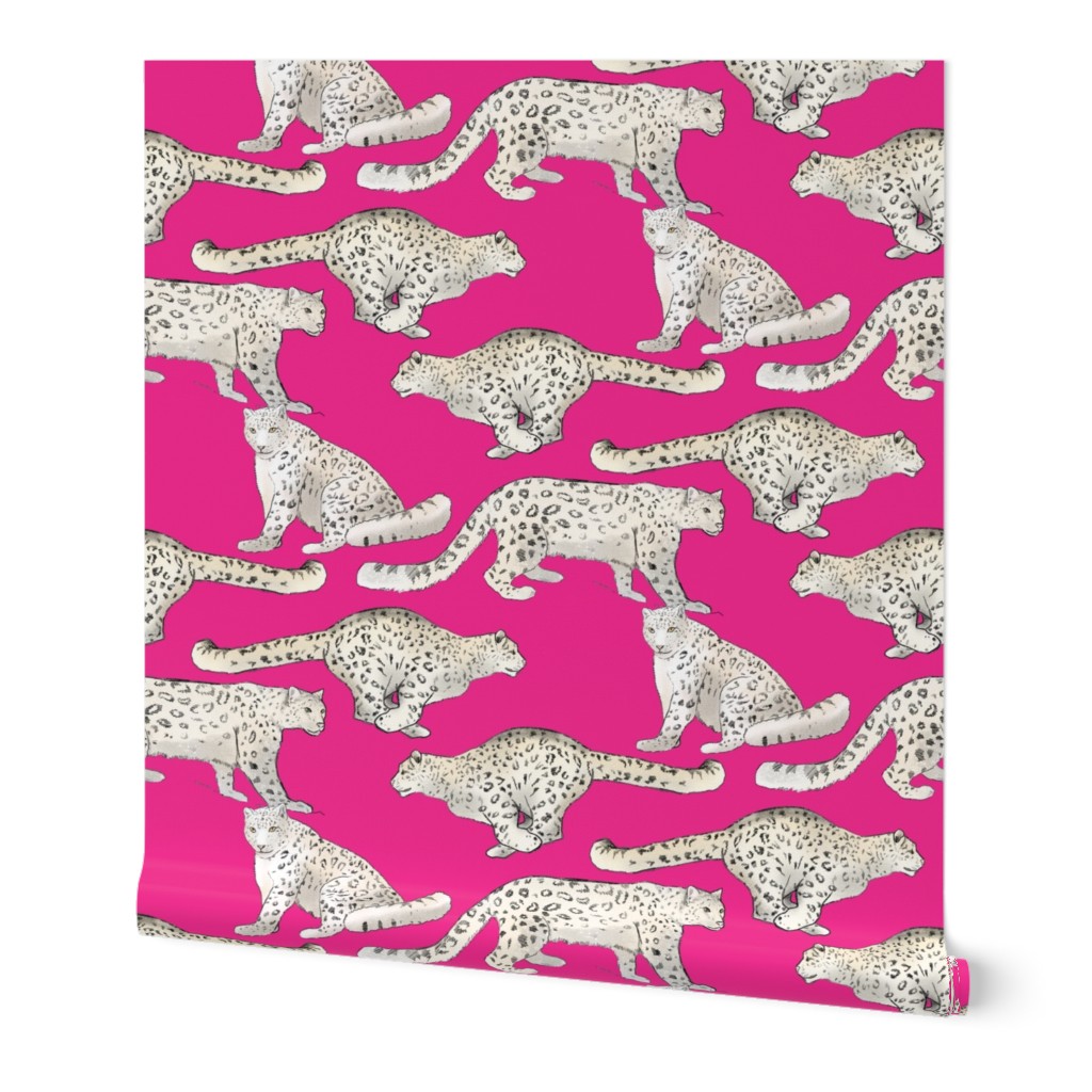 Snow Leopards on Magenta