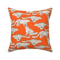 Snow Leopards on Orange