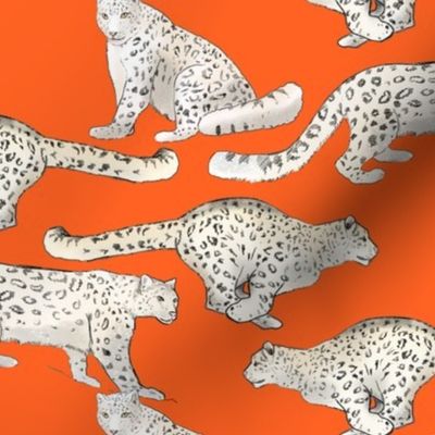 Snow Leopards on Orange