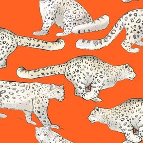 Snow Leopards on Orange