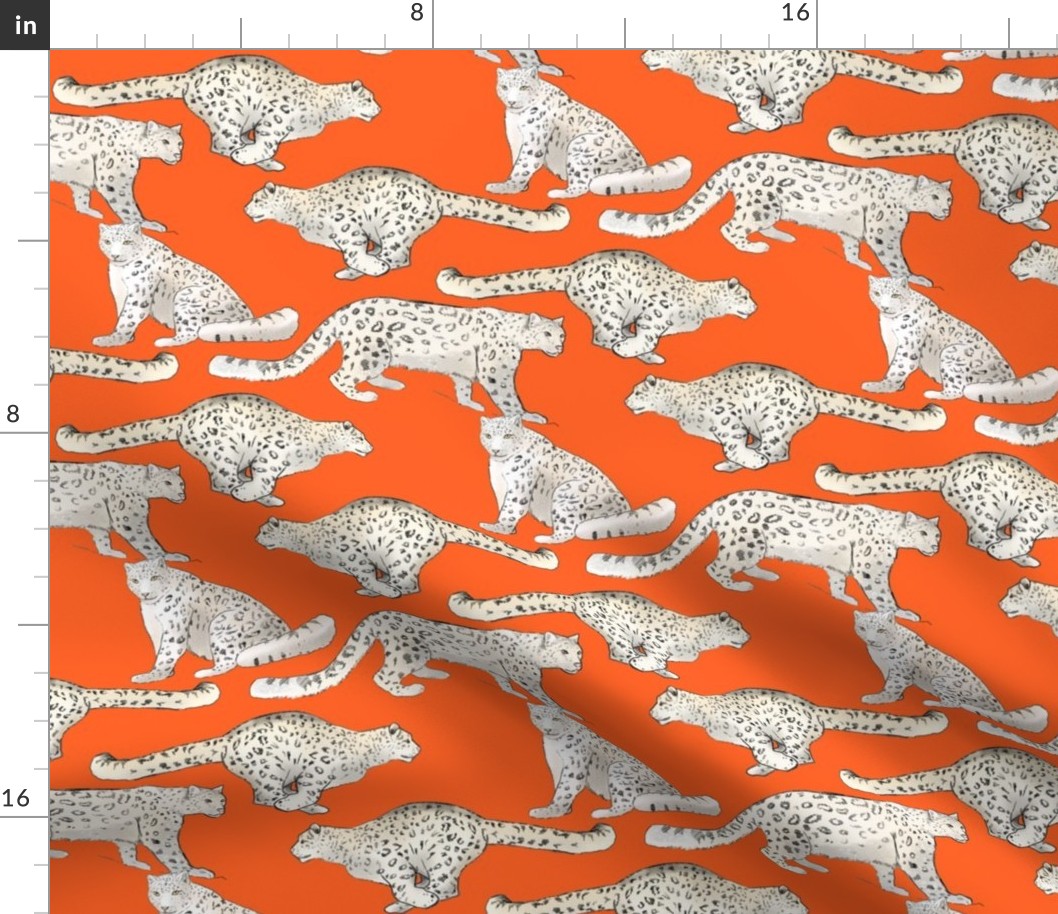 Snow Leopards on Orange