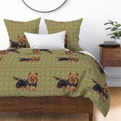 Yorkshire Terrier for Pillow