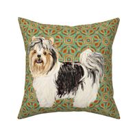 Biewer Terrier for Pillow