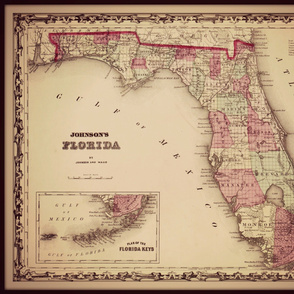Florida map, large