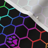 Canine paw prints on hexagons - rainbow dog paws