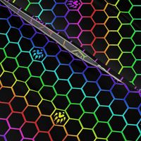 Ferret tracks on hexagons - rainbow