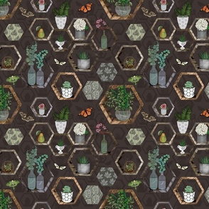 Hexagon Garden Wall