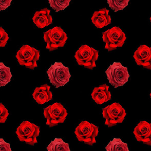 Red Roses on Black