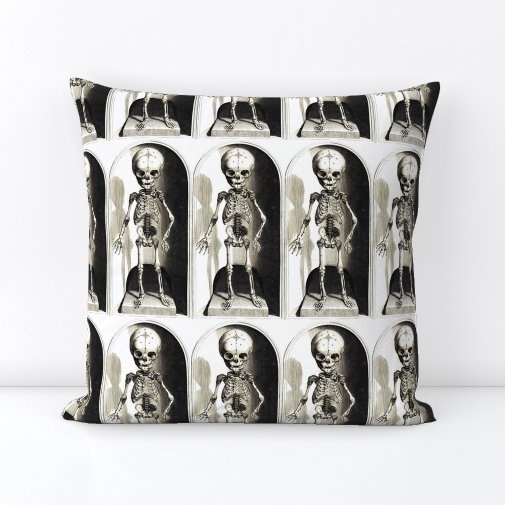 skulls bones skeletons anatomy gothic death vintage monochrome black white antique children child