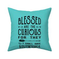 Blessed are the curious - Pillow - Fat Quarter 