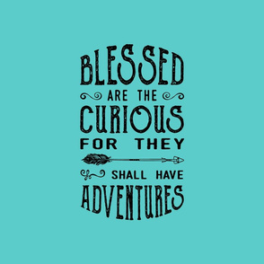 Blessed are the curious - Pillow - Fat Quarter 